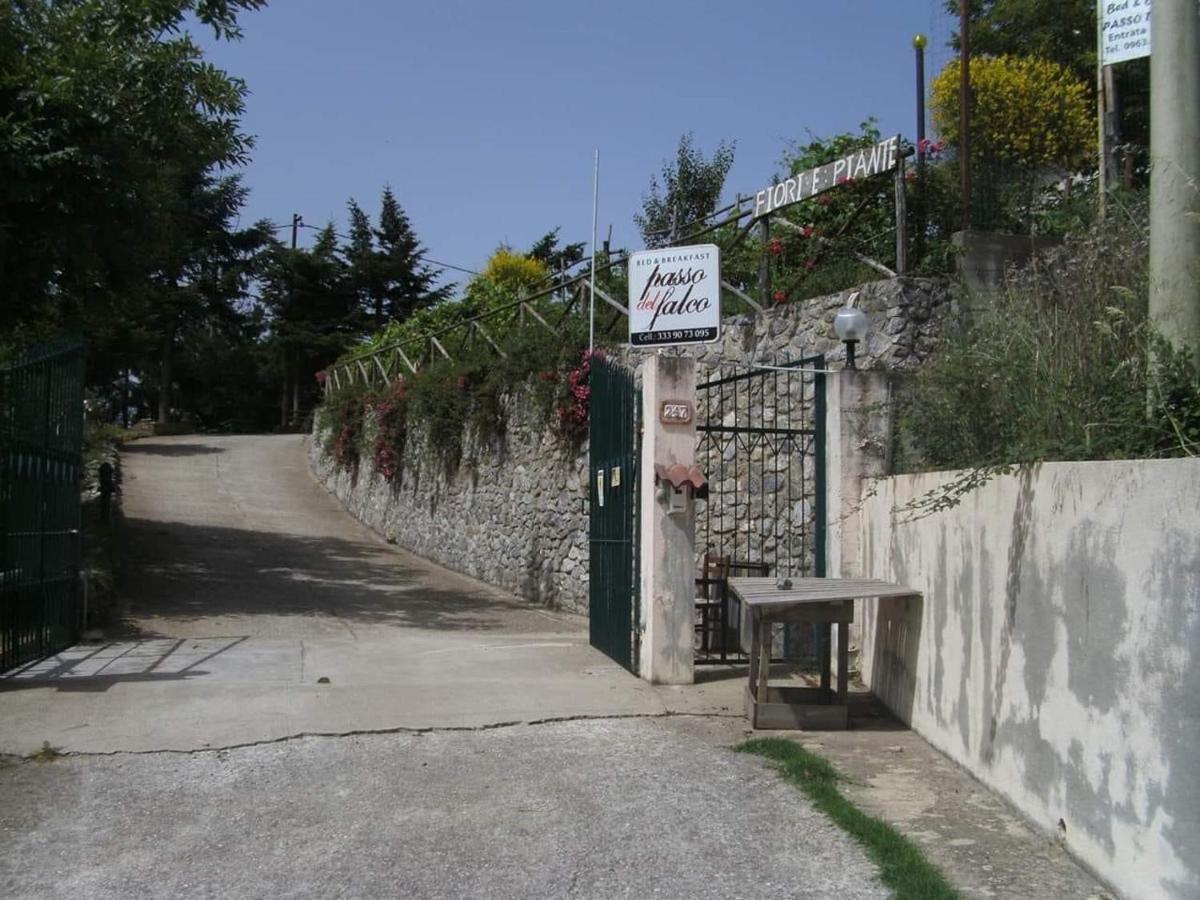 B&B Passo Del Falco Sorianello Kültér fotó