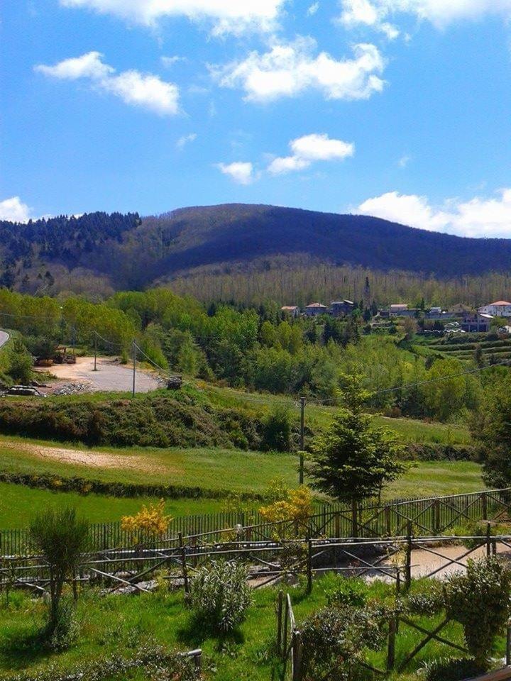 B&B Passo Del Falco Sorianello Kültér fotó