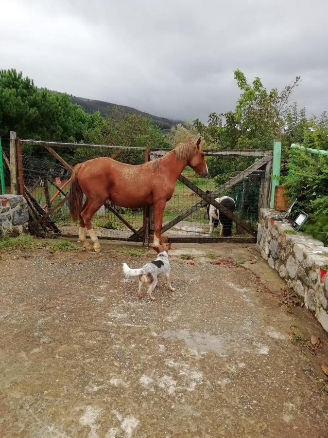B&B Passo Del Falco Sorianello Kültér fotó