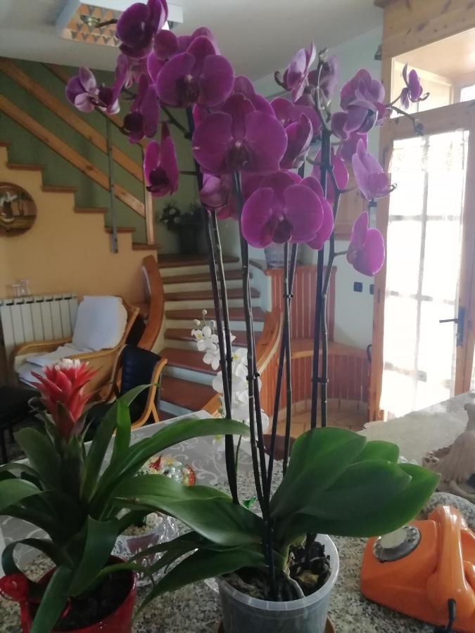 B&B Passo Del Falco Sorianello Kültér fotó