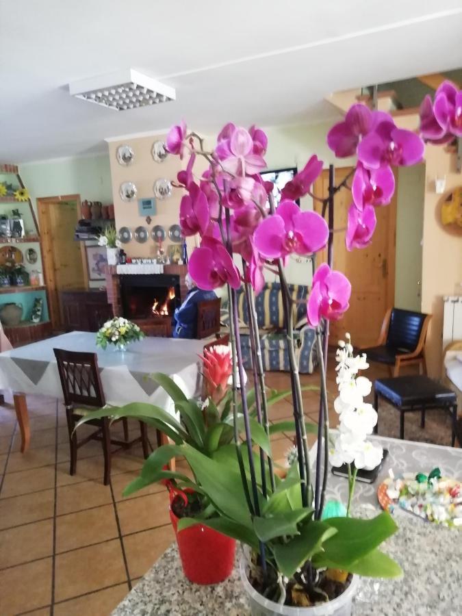 B&B Passo Del Falco Sorianello Kültér fotó
