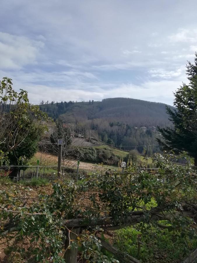 B&B Passo Del Falco Sorianello Kültér fotó